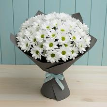 Букет цветов из:  Хризантемы #REPLACE_PRED# Раздолье