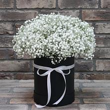 Цветочная композиция из Гипсофила в шляпной коробке в Раздолье