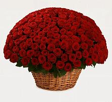 Премиум букет из: Розы #REPLACE_PRED# Раздолье